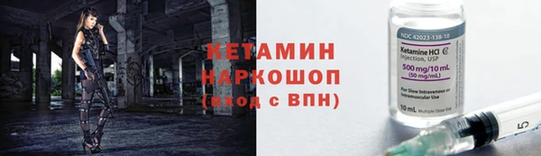 прущие грибы Верхний Тагил