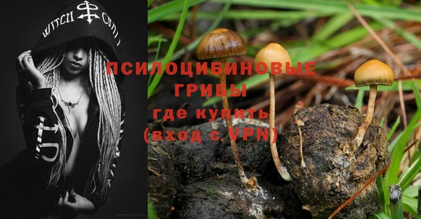 ALPHA PVP Нефтекумск