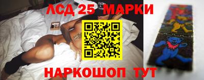 гидропоника Дубна