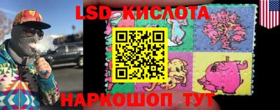 PSILOCYBIN Донской