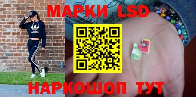 гидропоника Дубна