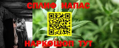 гидропоника Дубна