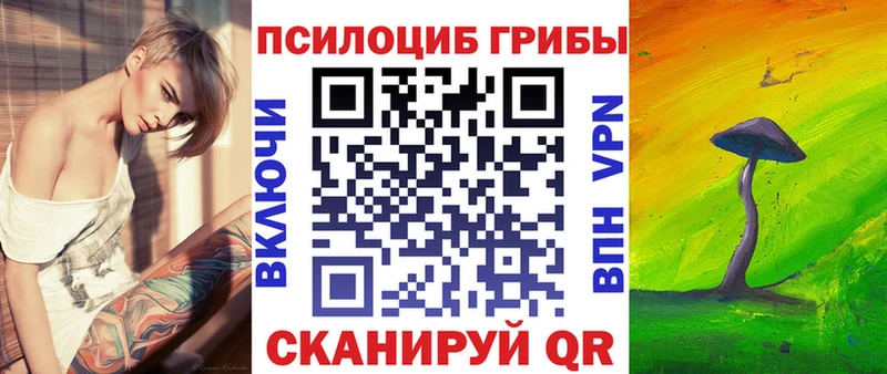 OMG зеркало  Ирбит  Псилоцибиновые грибы MAGIC MUSHROOMS 