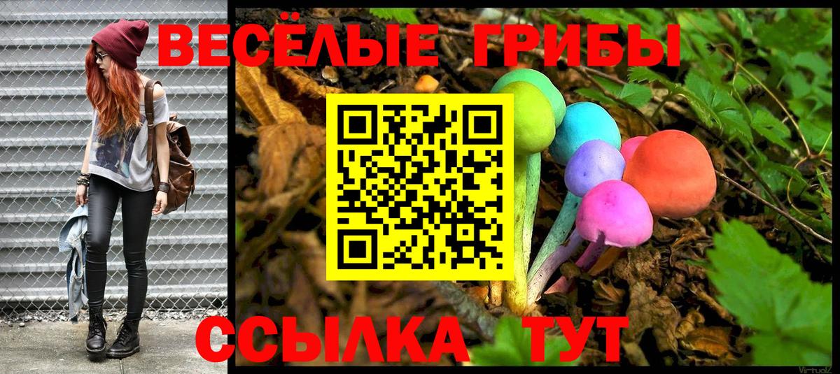купить наркотики цена  Вход с VPN  Ирбит  Псилоцибиновые грибы GOLDEN TEACHER 