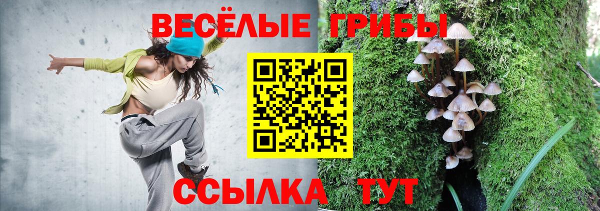 Галлюциногенные грибы ЛСД Ирбит